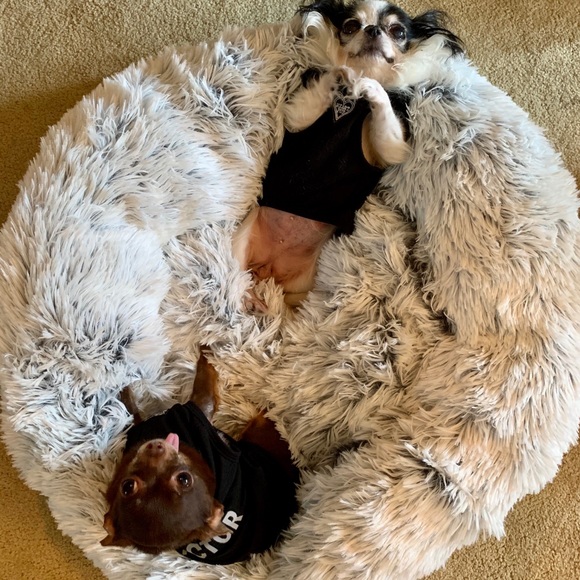 ACTOR dog shirt 🖤🐾 - Picture 6 of 9